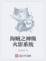  海贼之神级火影系统
